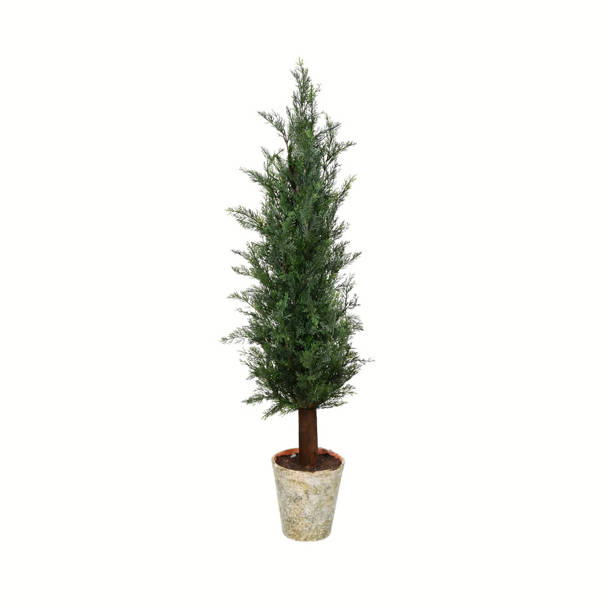 Primrue Artificial Potted Cedar Tree Full Wayfair